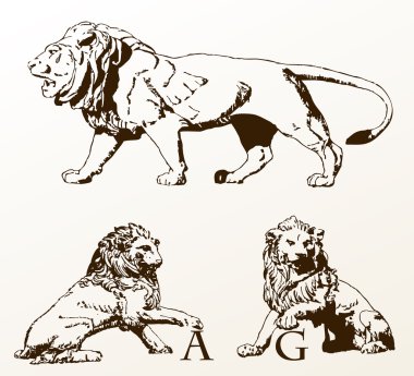 Heraldic animals lions old isolated clipart
