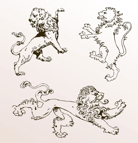 古い紋章動物ライオンズの分離 — ストックベクタ