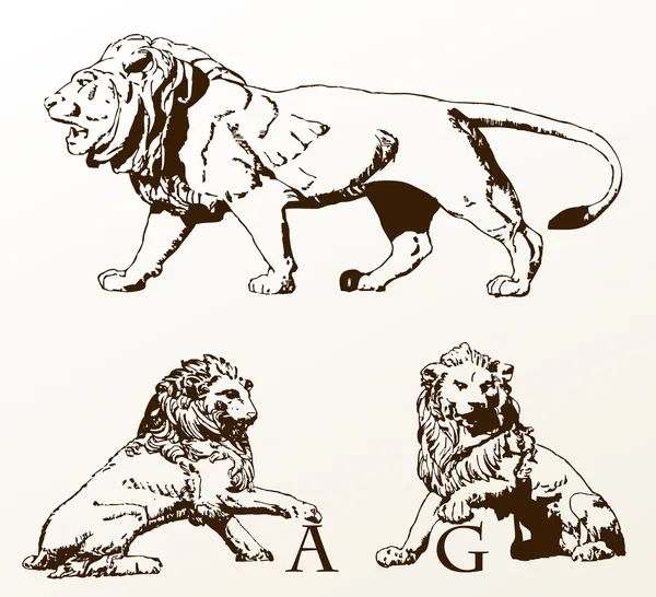 Animais heráldicos leões velhos isolados —  Vetores de Stock