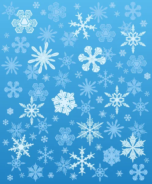 Зима на фоне снежинок — стоковый вектор