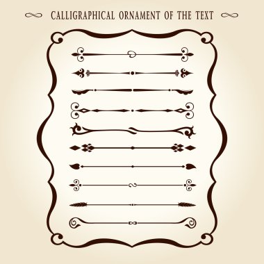 Calligraphical ornament elements vintage text vector illustration clipart