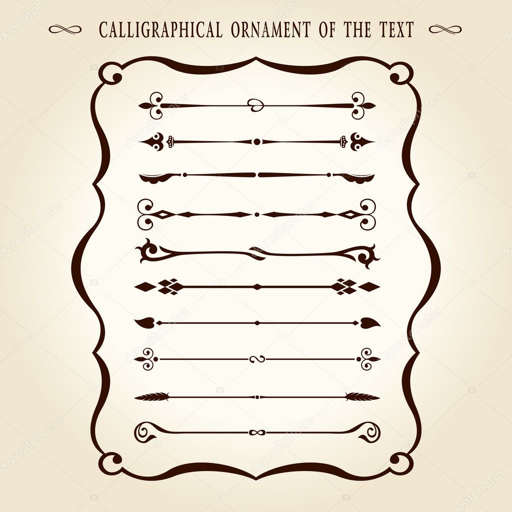 Calligraphical ornament elements vintage text vector illustration
