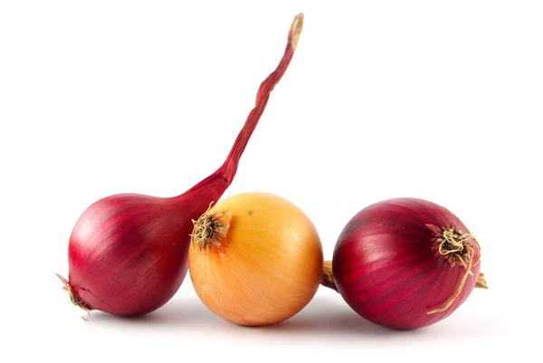 stock image Onions