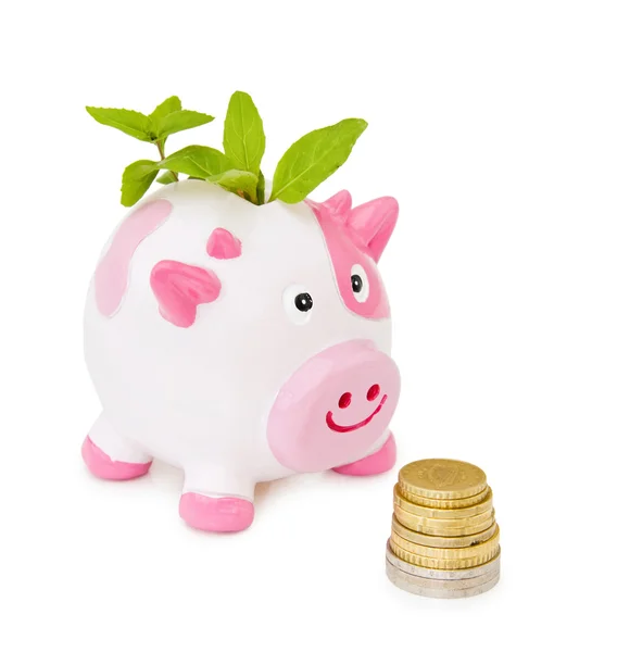 Growing savings - piggy bank — Stock Photo, Image