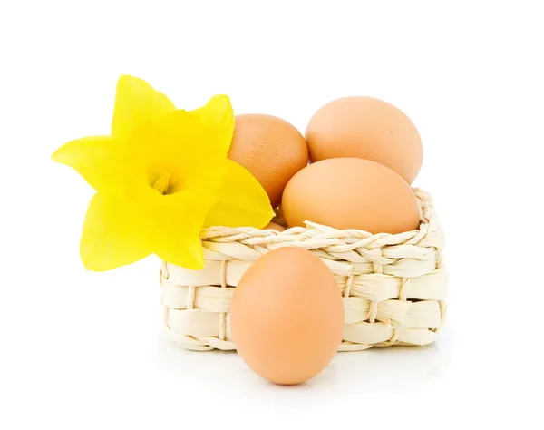 수 선화와 부활절 달걀 — 스톡 사진