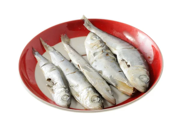 Fish for Cat — Stock Photo, Image