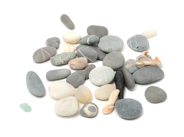 Pebbles And Shells — Stock Photo, Image