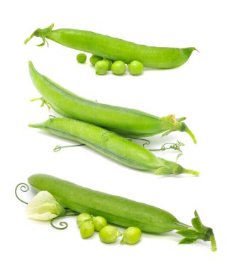 Set of Green Peas clipart