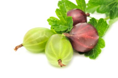 Green And Red Gooseberries clipart