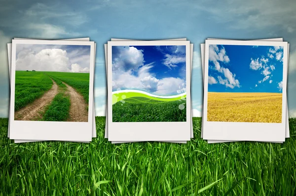 Beautiful Sceneries in Photos on Green Field Background — Stock Photo, Image