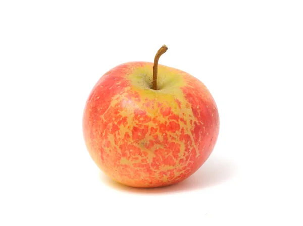 Red Organic Apple — Stock Photo, Image