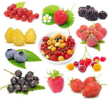 Set of Fresh Berries clipart