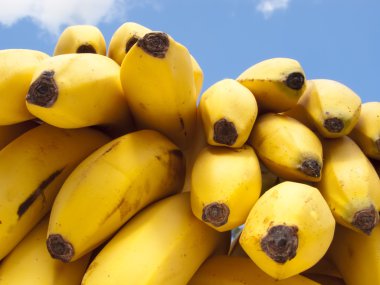 Bananas on Blue Sky Background clipart