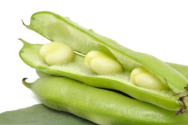 Broad Beans clipart