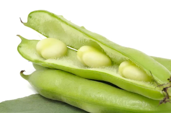 Broad Beans — Stock Photo, Image