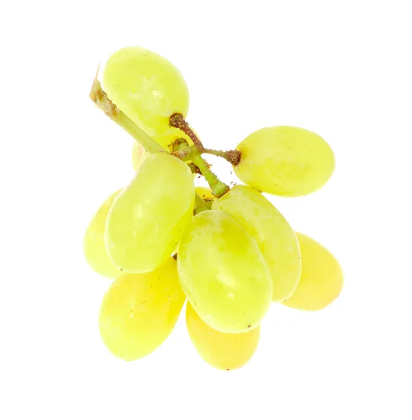 Zöld mag nélküli szőlő — Stock Fotó