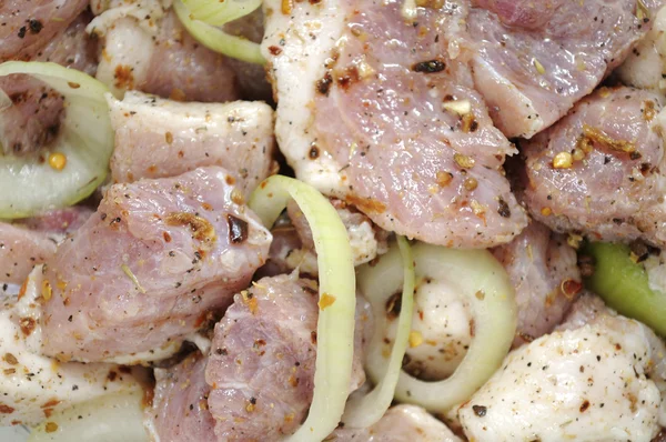 Carne cruda con cipolla e spezie — Foto Stock