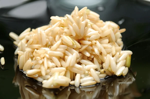 Doorweekt bruine rijst — Stockfoto