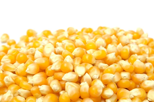 Corn Kernels — Stock Photo, Image