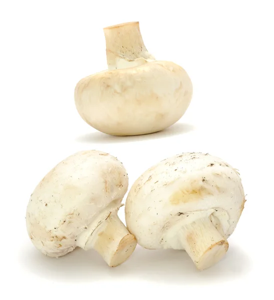 White Button Mushrooms — Stock Photo, Image