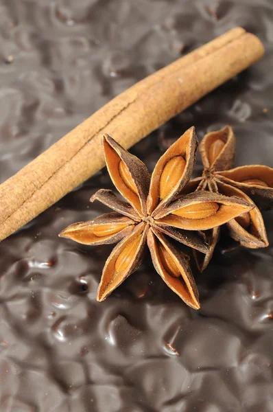 Anice e cannella bastone sulla torta al cioccolato — Foto Stock