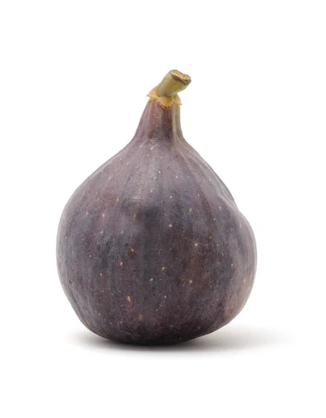 Fresh Fig — Stock Photo, Image