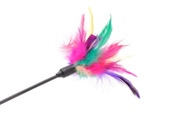 Feathered Pole Cat Toy clipart