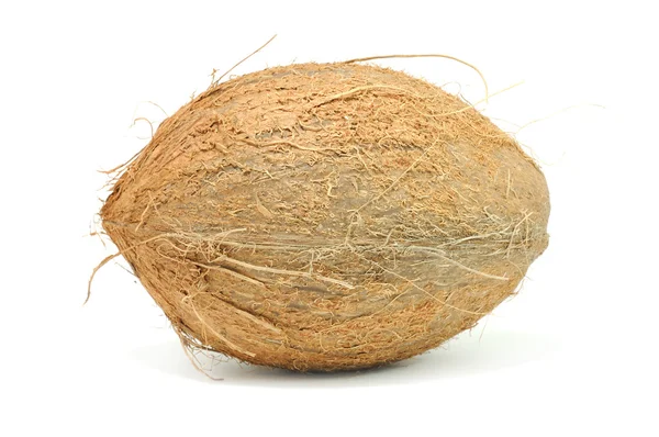 白い背景で隔離のココナッツ — ストック写真
