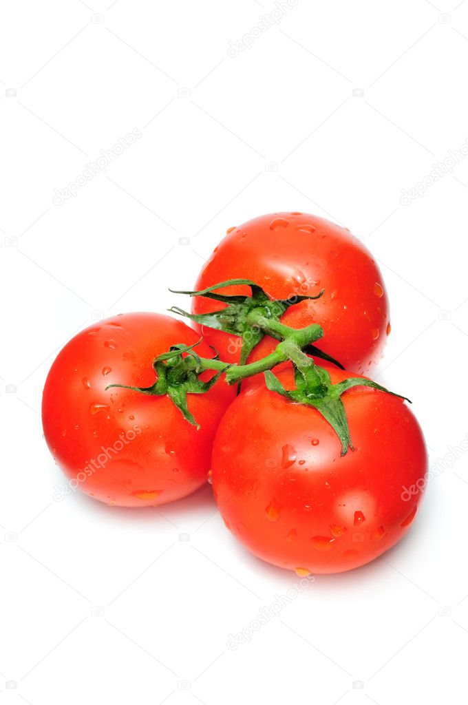 Fresh tomatoes with water drops isolated on a white background