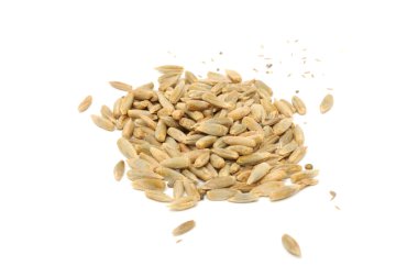 A pile of rye grains isolated on a white background clipart