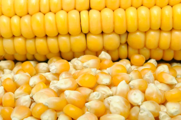 Eine Nahaufnahme Von Maiskörnern Und Einem Maiskolben — Stockfoto