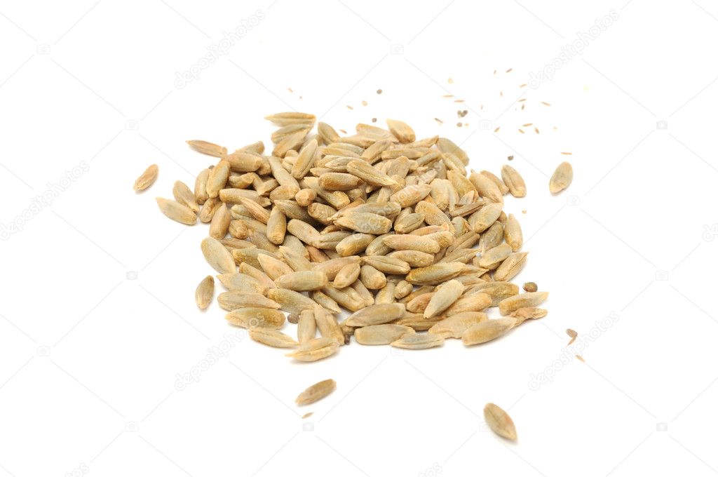 A pile of rye grains isolated on a white background
