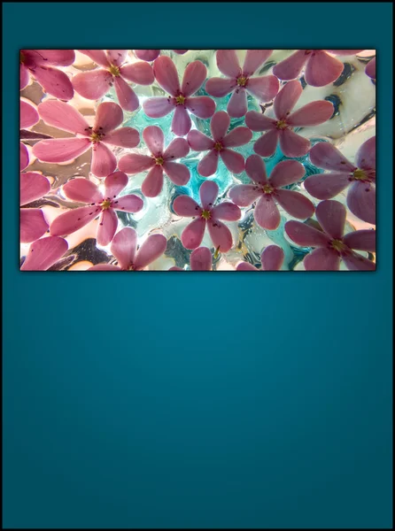 Rahmen mit gefrorenen Blumen auf blauem Hintergrund — Stockfoto