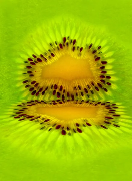 Créatif fond kiwi — Photo
