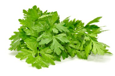 Fresh Parsley clipart