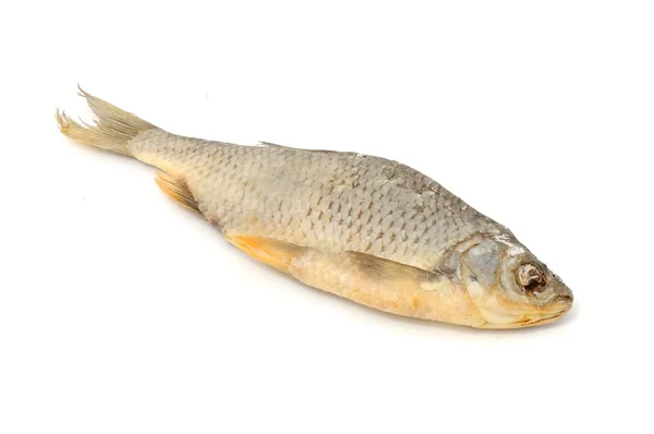Beyaz arka planda izole edilmiş kurutulmuş balık — Stok fotoğraf
