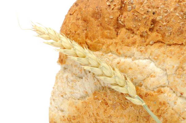 Bran Bread with Ear of Wheat — Stock Photo, Image