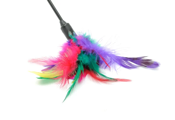 Feathered Pole Cat Toy — Stock Photo, Image
