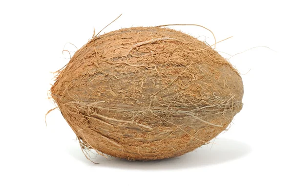 Kokosové izolované na bílém pozadí — Stock fotografie