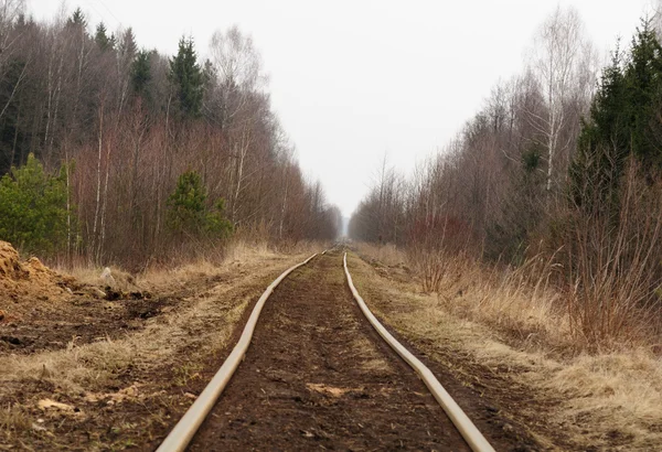 Pista ferroviaria vuota in campagna — Foto Stock