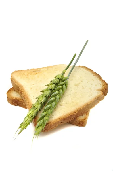 耳と小麦のトースト — ストック写真