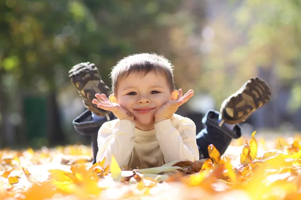 Παιδί που βρίσκεται στο golden leaf — Φωτογραφία Αρχείου