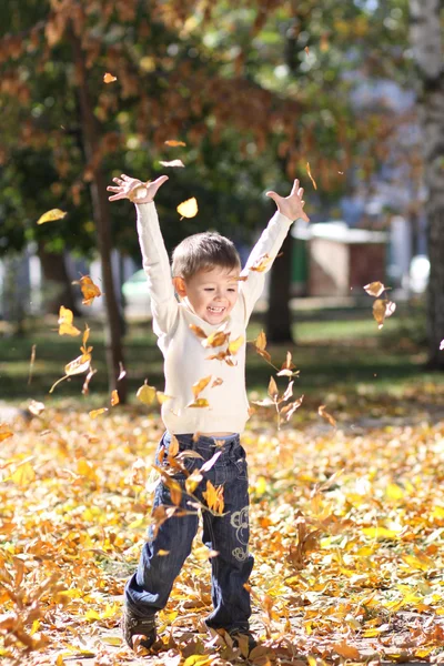 Παιδί που βρίσκεται στο golden leaf — Φωτογραφία Αρχείου