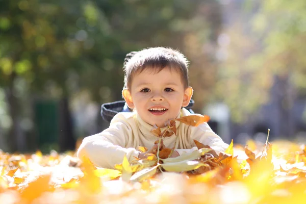 Dziecko leżące na złoty liść — Zdjęcie stockowe