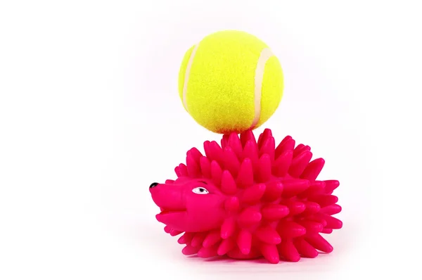 Rose Hedgehog Holds Ball — Stock Photo, Image