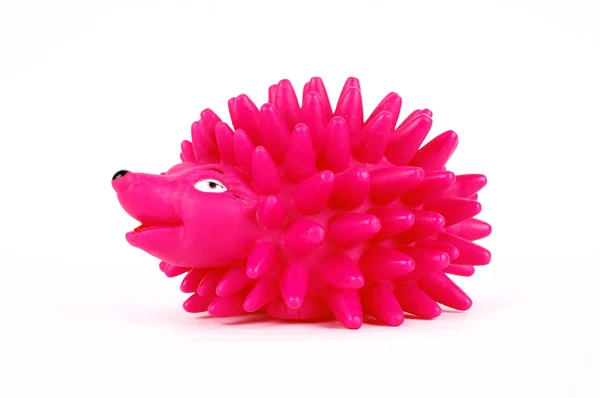 Rose hedgehog toy — Stock Photo, Image