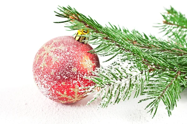 Jodła drzewo śniegu — Zdjęcie stockowe