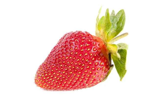草莓味. — 图库照片