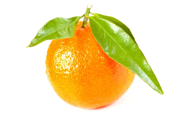 Frische Mandarine mit Blättern — Stockfoto