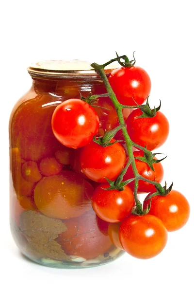 Tomates frescos de jardín — Foto de Stock